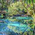 Juniper Springs Reflections, Ocala Florida